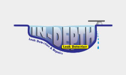 In-Depth Leak Detection