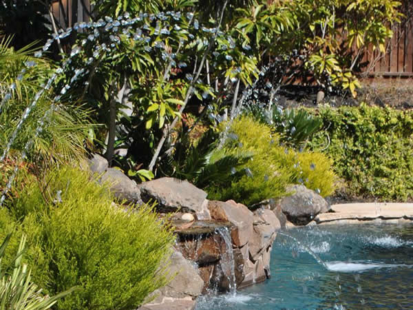 Pacheco Pool Repair, Pool Service, Pool Maintenance